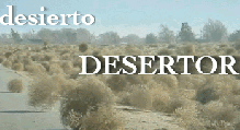 desierto DESERTOR